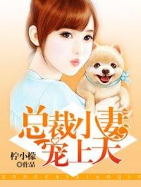 总裁小妻子宠上天