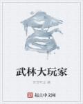 林芒武林大玩家系统