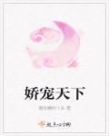 娇宠天下作者秋慈