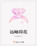 远看整体荷花