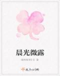 晨光微微凉全文免费阅读