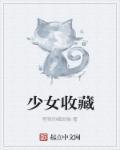 少女收藏家安卓免费