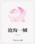沧海一边