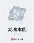 灵魂能力吧