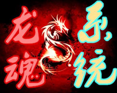 龙魂系统001