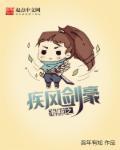 海贼之疾风剑豪txt精校