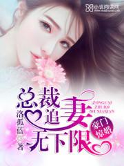 豪门惊婚总裁追妻无下限免费TXT全本