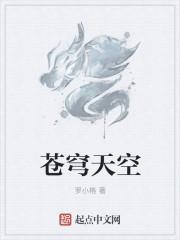 黄金苍穹之翼天空套