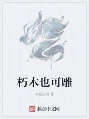 朽木也雕同义词