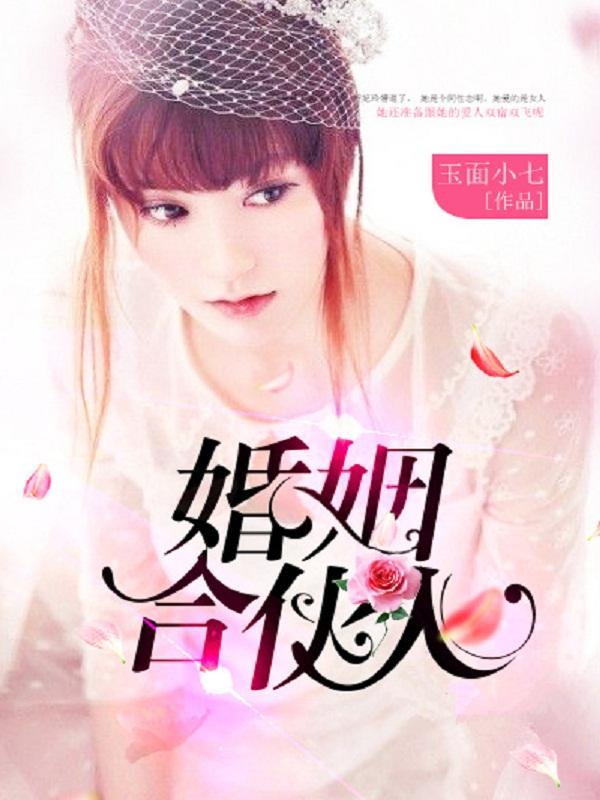 婚姻合伙人txt