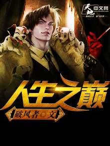 什么的人生之巅