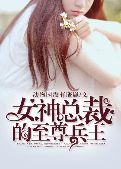 女神总裁的至尊兵王全本