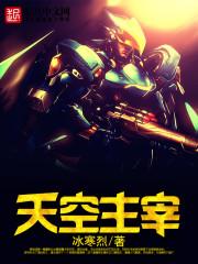 天空主宰者积木拼装图纸