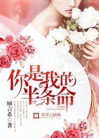 你是我的半条命开车