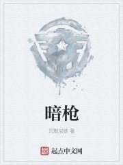 暗枪电视剧演员表