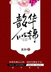 韶华似锦多少集