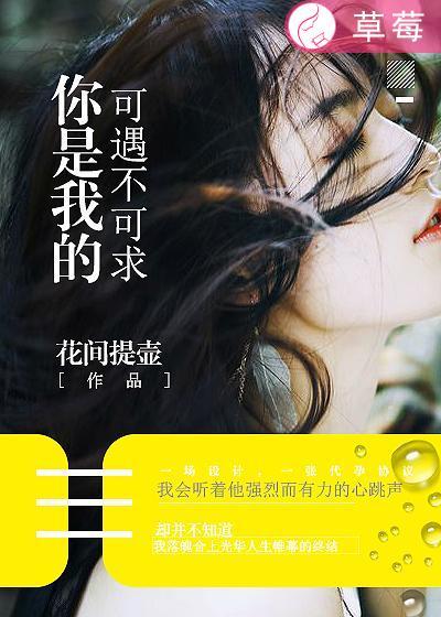 可遇不可留是什么歌