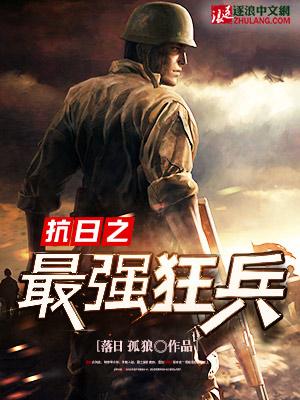 抗日之最强狂兵无鹏