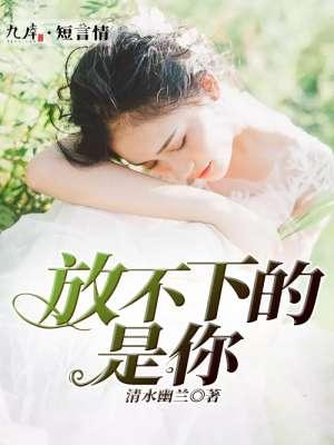 放不下的是你歌曲意思