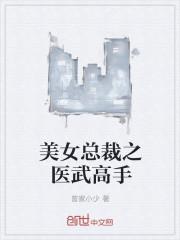 美女总裁之医武高手短剧