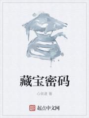 藏宝什么意思