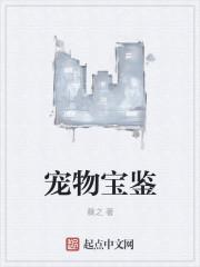 宠物宝珠大全