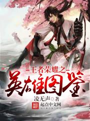 王者荣耀英雄图鉴大全书