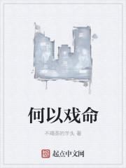 何以卜命是什么