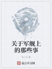 有关军舰的书