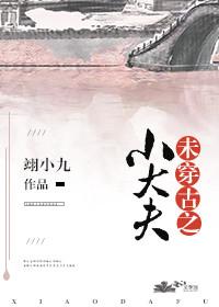 未穿古之小大夫书包网