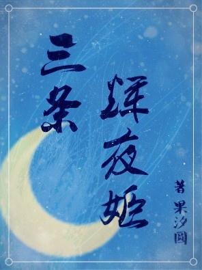 综三条辉夜姬txt