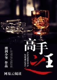 高手之王紫气东来txt