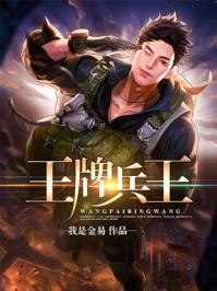 王牌兵王王小石阅读