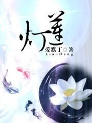 莲灯映月夏侯氏
