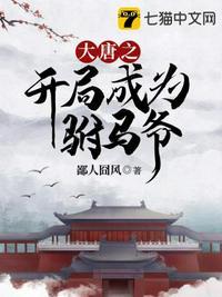 大唐之开局成为驸马爷的