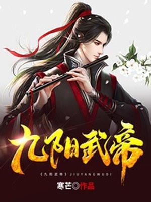 九阳武帝H版改编