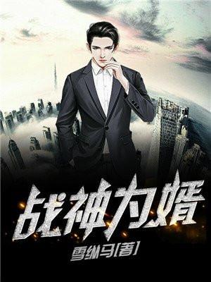 战神为婿结局