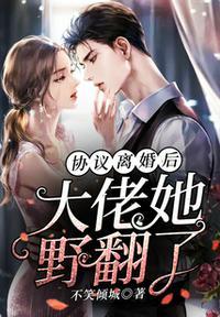 协议离婚后我逃不掉了肉
