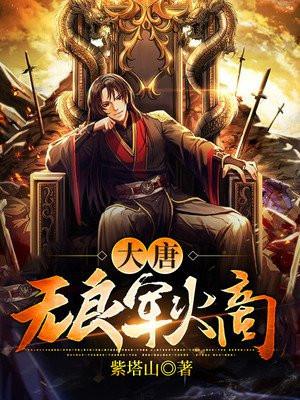 大唐最强军火商