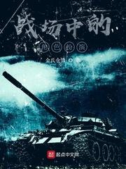 战场中的角色扮演免费阅读