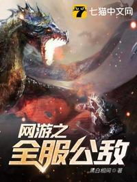 网游之全服公敌全集TXT