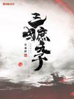 三国庶天子评论