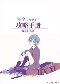 完全攻略系列游戏安卓