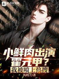 演霍元甲的是谁