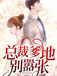 江南曦夜北枭免费听书