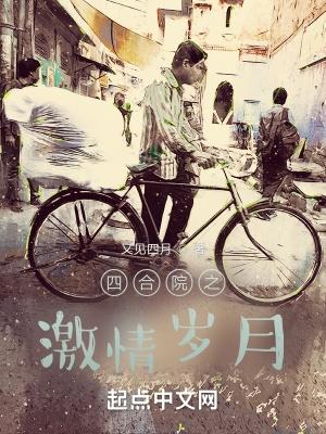 四合院之激情岁月九五网