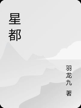 宏维星都