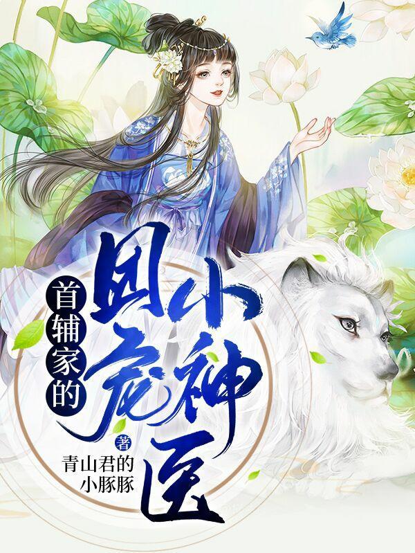 首辅家的团宠小神医的视频