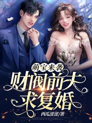 萌宝来袭总裁前夫请节制