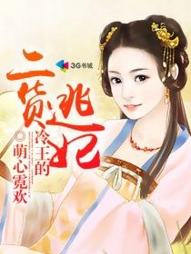冷王追逃妃全文免费完结